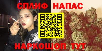 крисы Белореченск