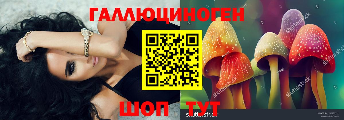 Псилоцибиновые грибы Cubensis  Вход с VPN  Псилоцибиновые грибы Magic Shrooms  где купить наркотик  Осинники 